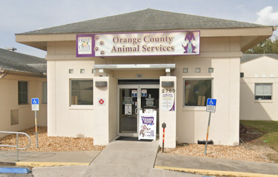 Central Florida Pet Owners Alerted to Scam by Orange County Animal Services
