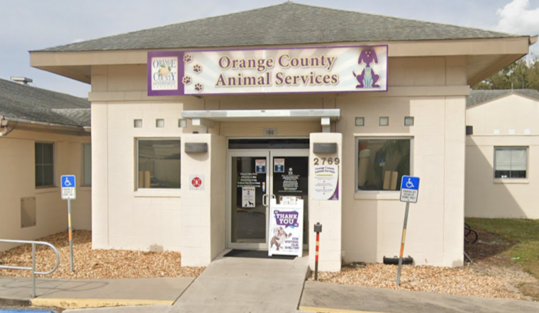 Central Florida Pet Owners Alerted to Scam by Orange County Animal Services
