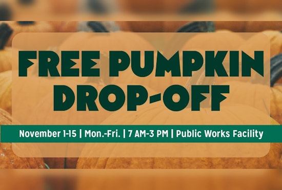 Chanhassen, MN Launches Pumpkin Recycling Program for Animal Feed Post-Halloween