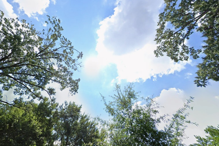 Charlotte Welcomes a Week of Mild and Sunny Weather Ahead of Thanksgiving Showers