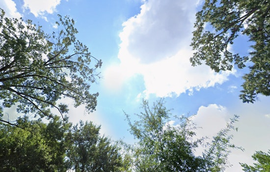 Charlotte Welcomes a Week of Mild and Sunny Weather Ahead of Thanksgiving Showers