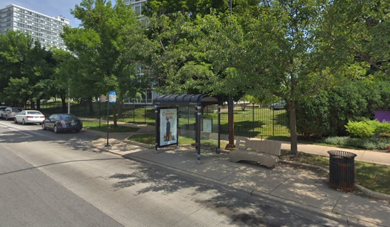 Chicago Bears Reconsider Bronzeville's Michael Reese Site for New Stadium Amid Urban Renewal Efforts