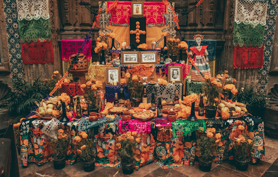 Chicago Embraces Día de los Muertos, A Celebration of Life, Cultural Heritage, and Social Advocacy