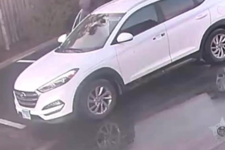 Chicago Neighborhoods on Alert: Police Urge Vigilance After Burglaries in Avondale and Belmont Gardens