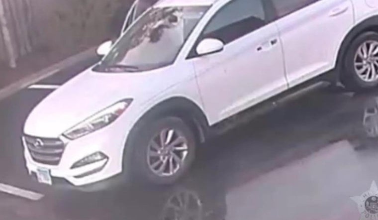 Chicago Neighborhoods on Alert: Police Urge Vigilance After Burglaries in Avondale and Belmont Gardens