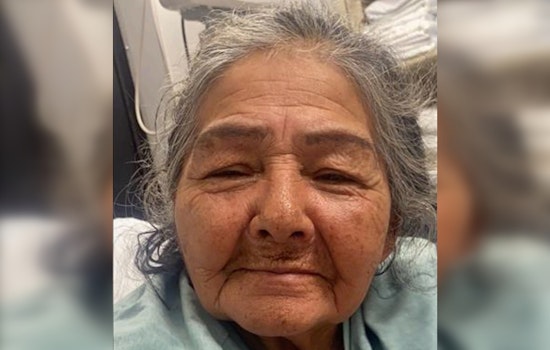 Chicago Police Seek Help to Find Missing 72-Year-Old with Dementia in Little Village Area