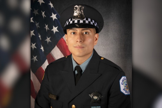 Chicago Policeman Fatally Shot During Traffic Stop; Suspect with Criminal History in Custody