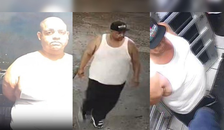 Chicago's Harrison Neighborhood on Alert After Aggravated Battery on South Pulaski Road; Police Seek Information