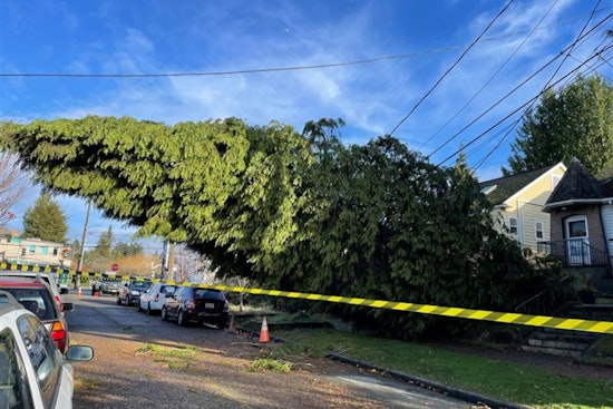 City Light Restores Power to over 110,000 Customers, Progresses with Repairs Amidst Complex Challenges