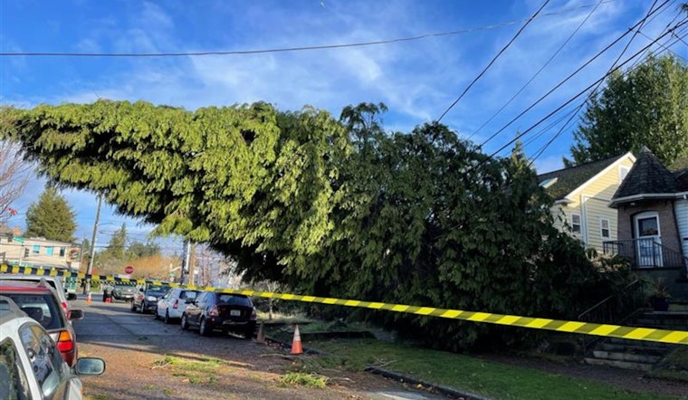 City Light Restores Power to over 110,000 Customers, Progresses with Repairs Amidst Complex Challenges