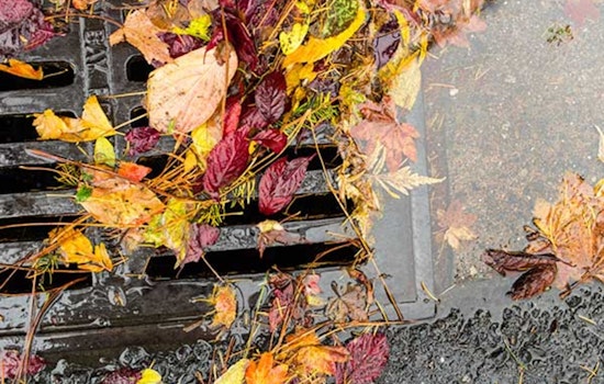 Clackamas County Advocates for Community Effort in Flood Prevention Amidst Rainy Season