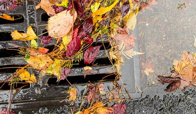 Clackamas County Advocates for Community Effort in Flood Prevention Amidst Rainy Season