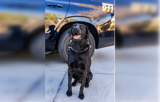 Clark County School Community Mourns the Loss of Beloved K9 Officer Marley