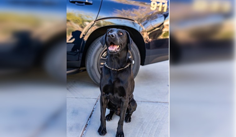 Clark County School Community Mourns the Loss of Beloved K9 Officer Marley
