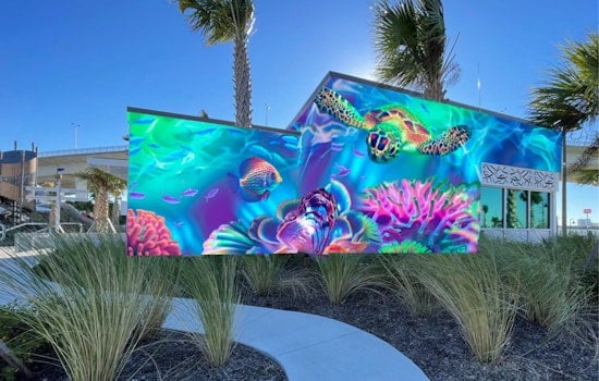 Clearwater's Coachman Park Welcomes New Marine-Themed Mural by Tampa Bay Artist Dreamweaver