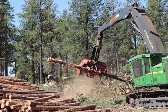 Coconino County and Partners Spearhead Forest Restoration Projects to Mitigate Wildfire Threats in Flagstaff Region