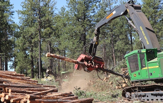 Coconino County and Partners Spearhead Forest Restoration Projects to Mitigate Wildfire Threats in Flagstaff Region