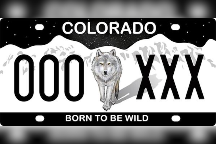 Colorado Offers $50,000 in Grants to Support 'Born to Be Wild' License Plate Promotion for Wolf Conservation