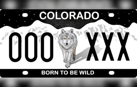 Colorado Offers $50,000 in Grants to Support 'Born to Be Wild' License Plate Promotion for Wolf Conservation