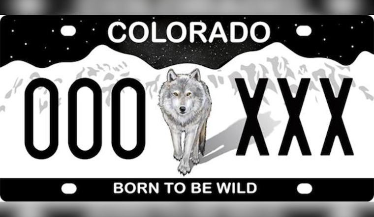 Colorado Offers $50,000 in Grants to Support 'Born to Be Wild' License Plate Promotion for Wolf Conservation