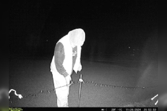 Community Icon’s Christmas Light Tradition Vandalized, Delays Opening at LMCU Ballpark in Kent County