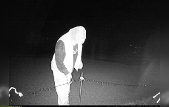 Community Icon’s Christmas Light Tradition Vandalized, Delays Opening at LMCU Ballpark in Kent County