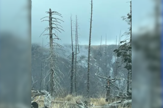 Containment of Blue Front Fire Reaches 52% Near Ruidoso As Weather Aids Firefighting Efforts