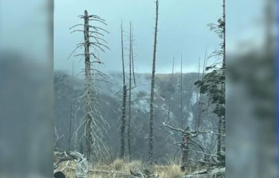 Containment of Blue Front Fire Reaches 52% Near Ruidoso As Weather Aids Firefighting Efforts