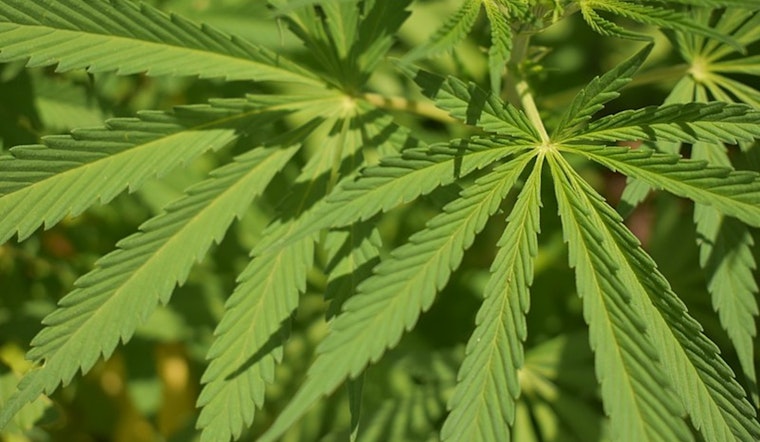 Coon Rapids Residents to Weigh In on Proposed Cannabis Business Zoning Amendment