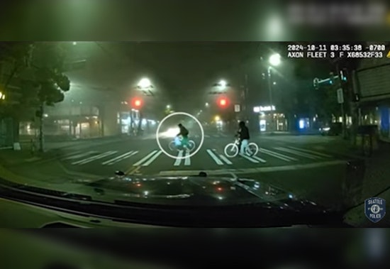 Costumed Caper, Man in Dinosaur Attire Charged with Seattle Apartment Burglaries