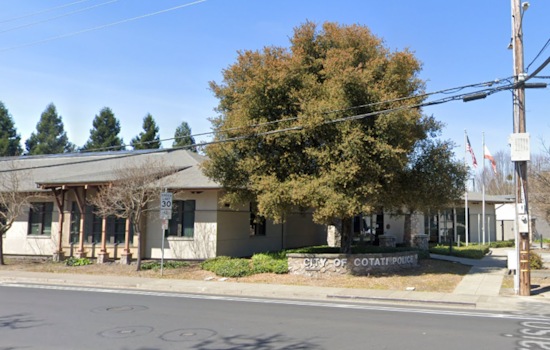 Cotati Police Arrest Suspect on Charges of Animal Cruelty Following Puppy's Death