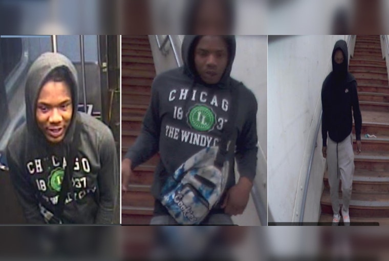 CPD Urges Vigilance After Robbery on Chicago's Red Line, Seeks Assistance Identifying Suspects