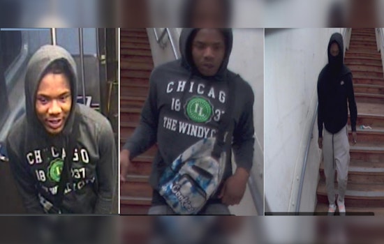 CPD Urges Vigilance After Robbery on Chicago's Red Line, Seeks Assistance Identifying Suspects