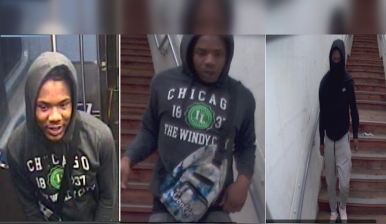 CPD Urges Vigilance After Robbery on Chicago's Red Line, Seeks Assistance Identifying Suspects