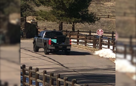 CPW Seeks Public Aid to Identify Suspect in Illegal Deer Poaching Near Sedalia, South of Denver