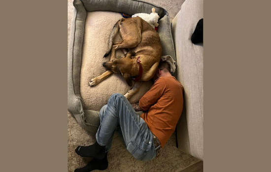Dallas Animal Services Celebrates Wins and Prepares for Festive Season with Photo Challenges, Volunteer Parties, and Special Adoption Events