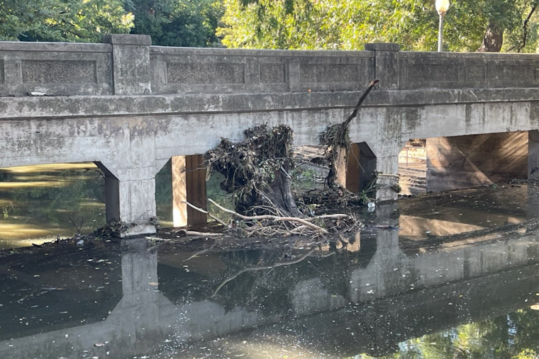 Dallas’ Turtle Creek Confronts Erosion and Pollution, District 14 and Local Partners Rally for Environmental Revitalization