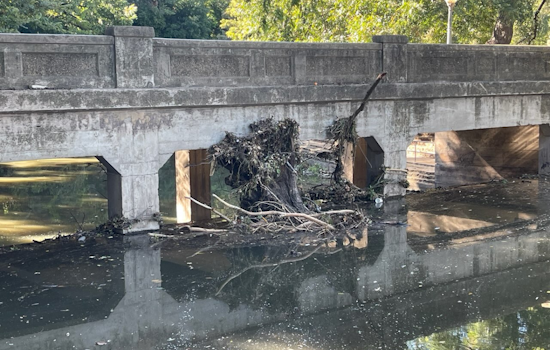 Dallas’ Turtle Creek Confronts Erosion and Pollution, District 14 and Local Partners Rally for Environmental Revitalization
