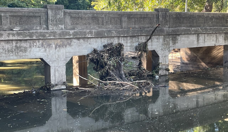 Dallas’ Turtle Creek Confronts Erosion and Pollution, District 14 and Local Partners Rally for Environmental Revitalization