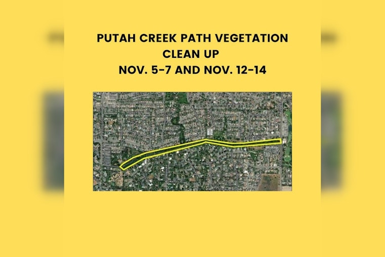 Davis Teams Up with Conservation Corps for Wildfire Prevention Along North Putah Creek