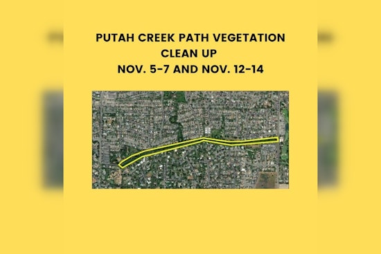 Davis Teams Up with Conservation Corps for Wildfire Prevention Along North Putah Creek