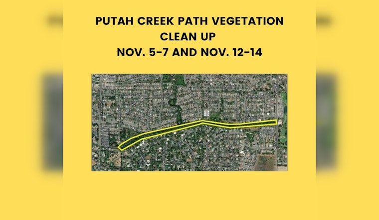 Davis Teams Up with Conservation Corps for Wildfire Prevention Along North Putah Creek