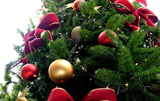 D.C. Welcomes 'Spruce Wayne,' 80-Foot Alaskan Christmas Tree to Begin 2024 Holiday Season at U.S. Capitol