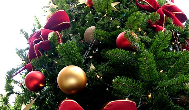 D.C. Welcomes 'Spruce Wayne,' 80-Foot Alaskan Christmas Tree to Begin 2024 Holiday Season at U.S. Capitol