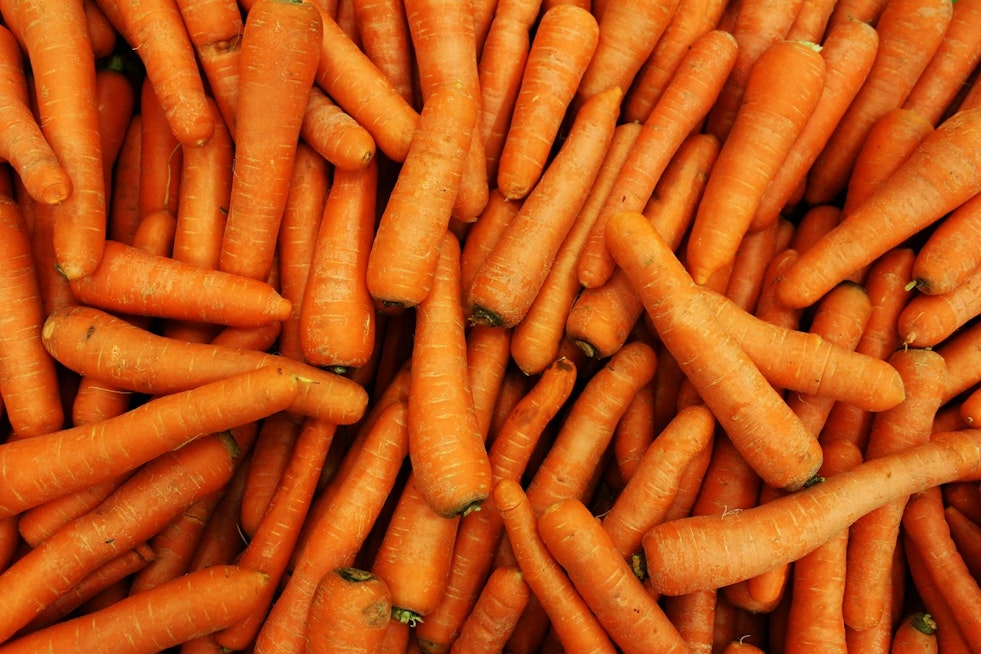 Deadly E. Coli Outbreak Linked to California Carrots Leaves One Dead and Many Hospitalized Across Multiple States