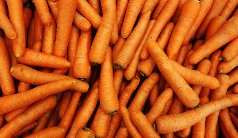 Deadly E. Coli Outbreak Linked to California Carrots Leaves One Dead and Many Hospitalized Across Multiple States