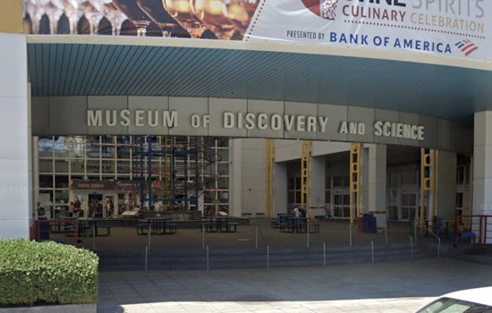 Deerfield Beach Partners with Museum of Discovery and Science to Launch New Marine Science Center