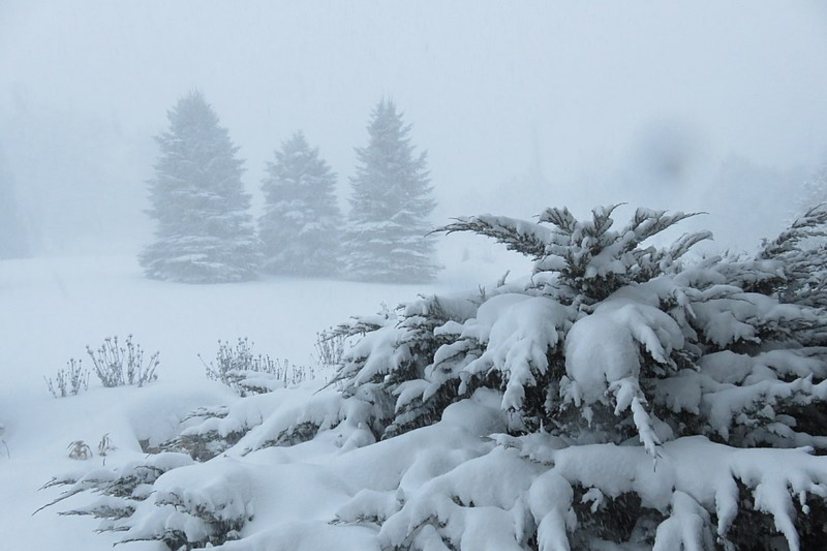 Denver Plow Drivers Ready for Overnight Effort Amid Winter Storm