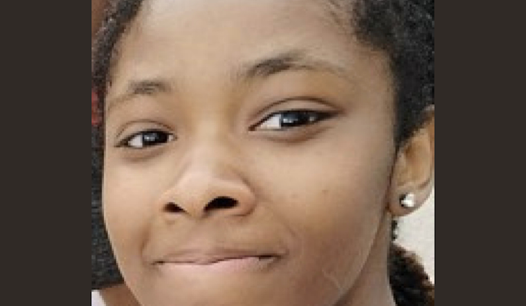 Detroit Police Seek Help to Find Missing 15-Year-Old Jachaelah Amarah Last Seen on Stoepel at Elmhurst