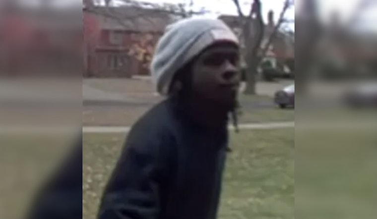 Detroit Police Seek Public's Help to Identify Suspected 'Porch Pirate' on Grandmont Avenue